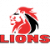 Lions URC