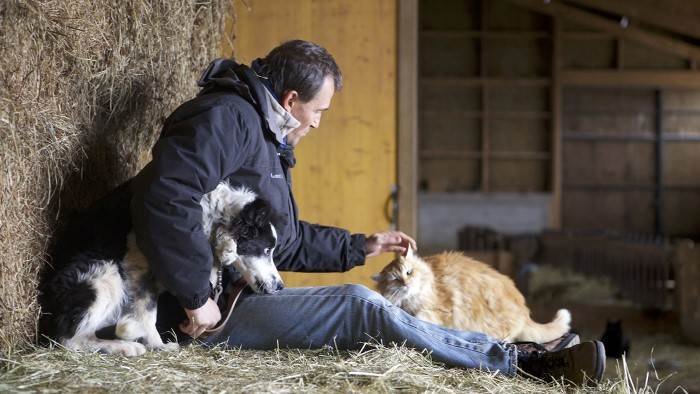 A petits pas