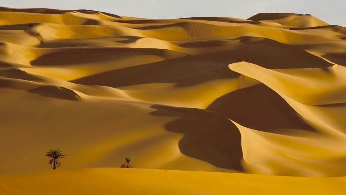 Afrique sauvage