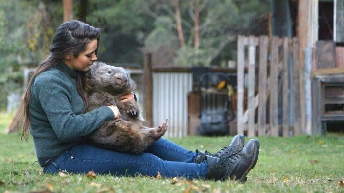 Amis pour la vie : quand l'homme et l'animal sauvage s'apprivoisent