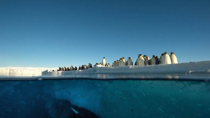 Antarctica