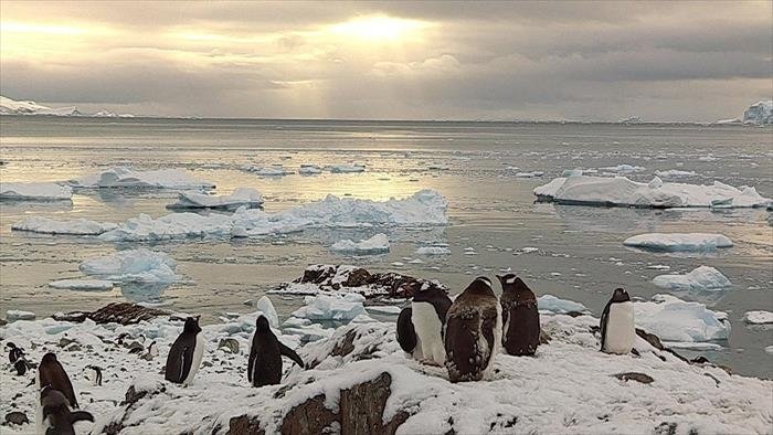 Antarctique, chroniques du bout du monde