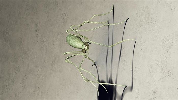 Bob le bricoleur