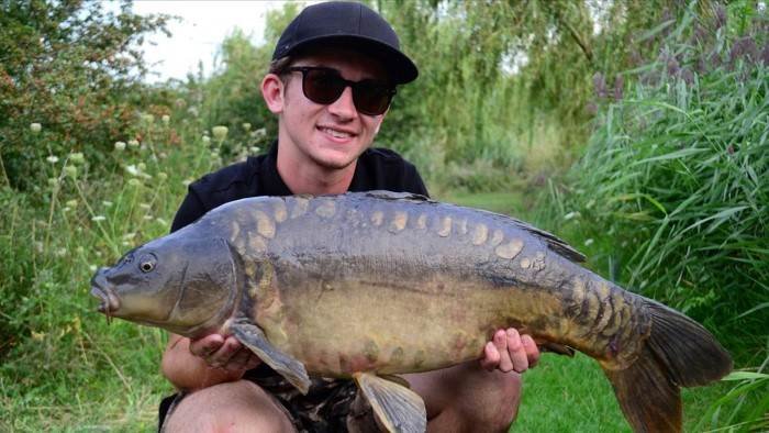 Carp Wars