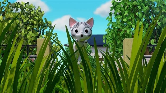 Chi mon chaton