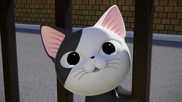Chi mon chaton