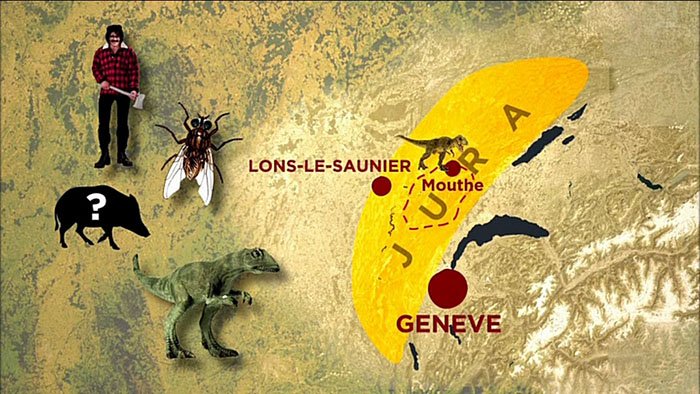 Curieuse de nature