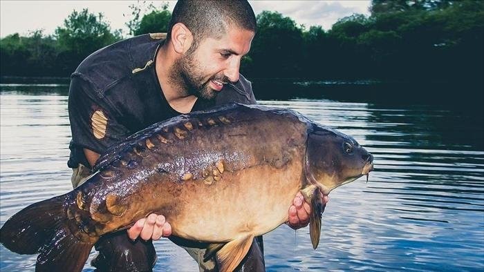 Des pros et des carpes