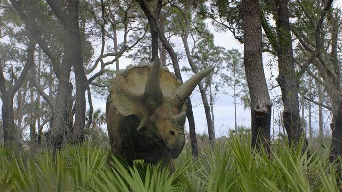 Dino Hunt