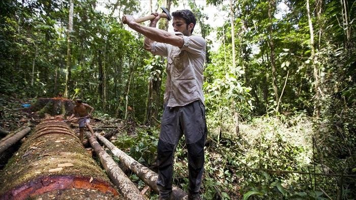 DugOut, An Amazon Adventure