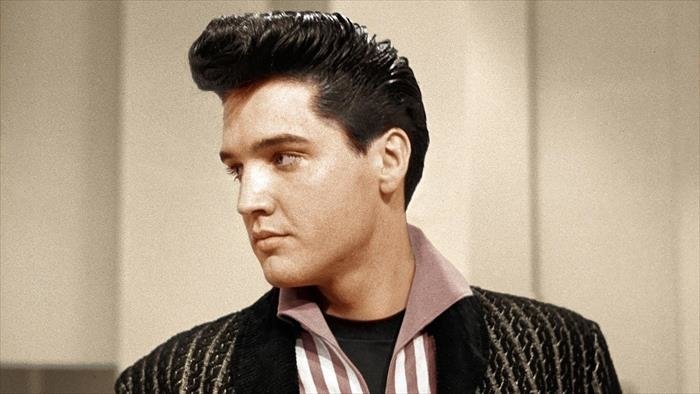 Elvis Presley : The Searcher
