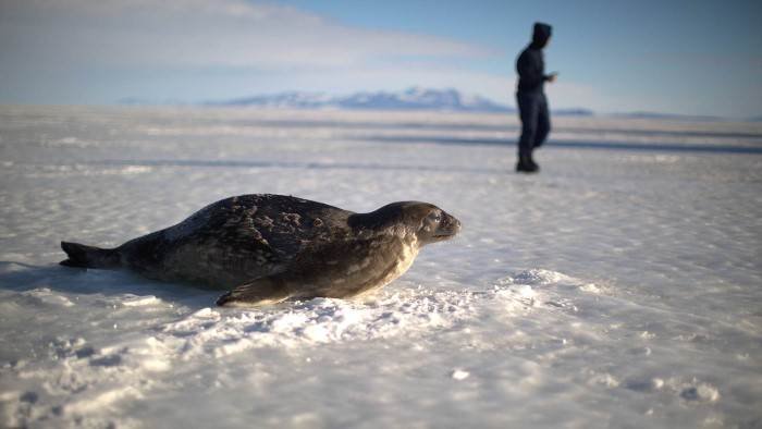 Exploration glaciale