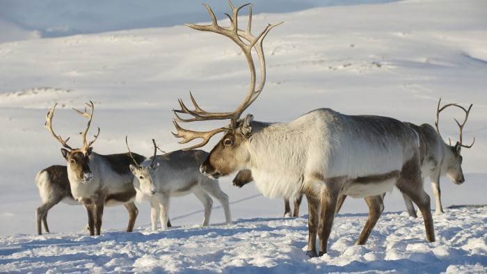 Grandeurs nature