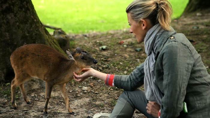 Hélène et les animaux