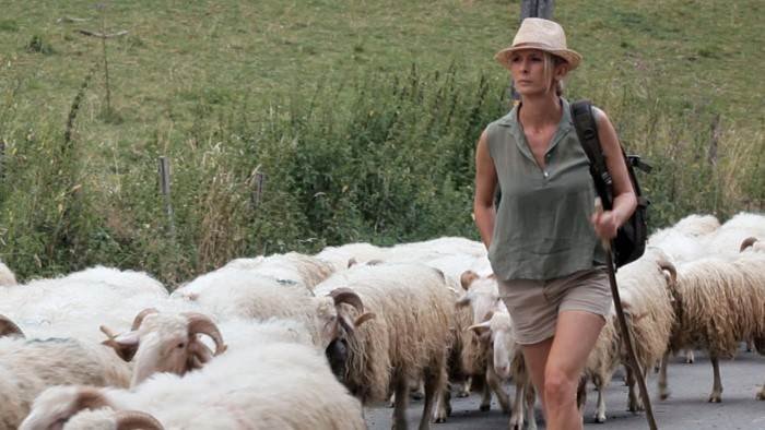 Hélène et les animaux
