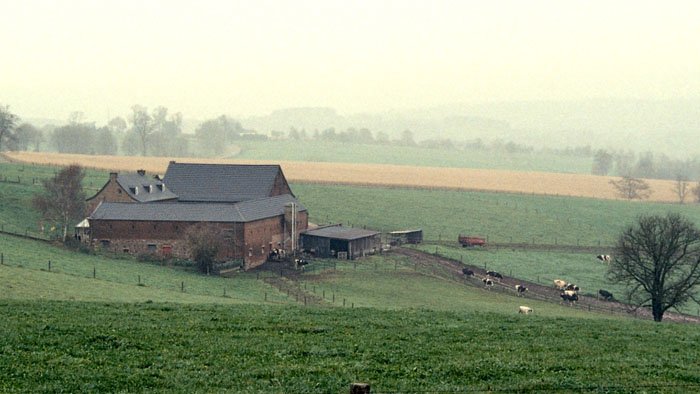Il a plu sur le grand paysage