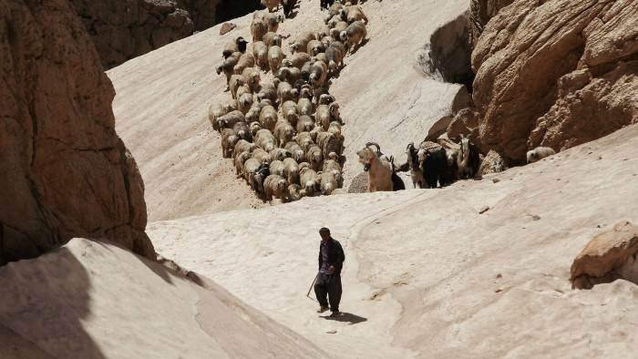 Iran, les derniers grands nomades