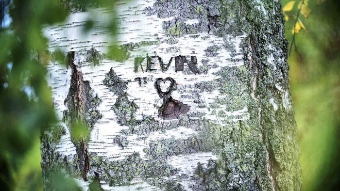 L'affaire Kevin