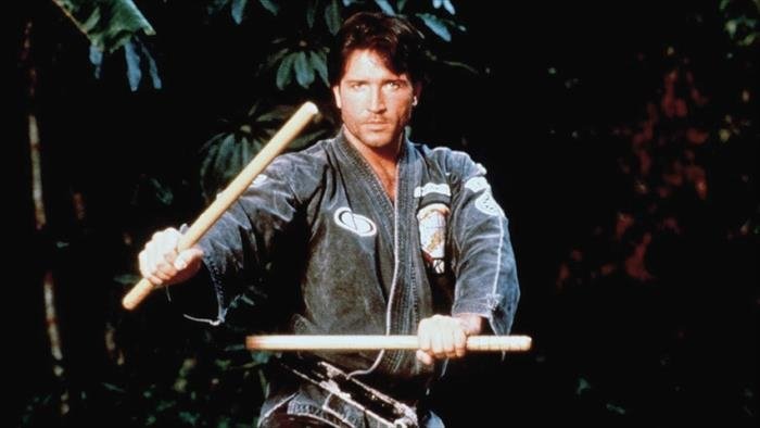 L'arme parfaite