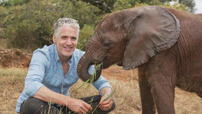 La famille éléphant et moi