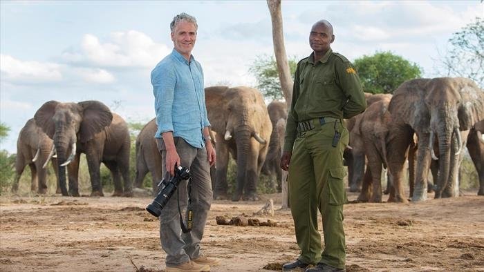 La famille éléphant et moi