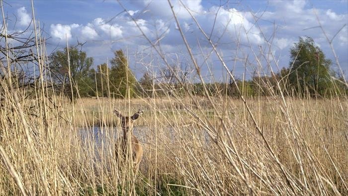 La nature mise à prix ?