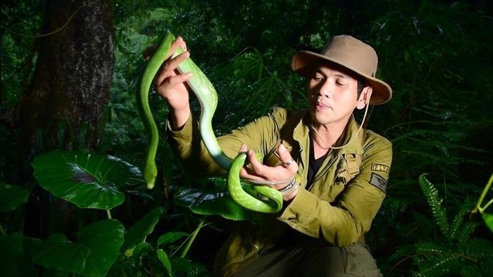 Le maître des serpents