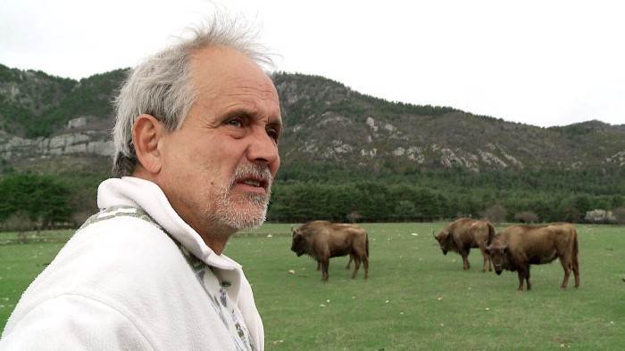 Le retour de la vie sauvage