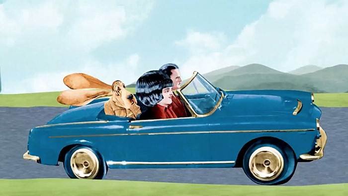 Les animaux domestiques