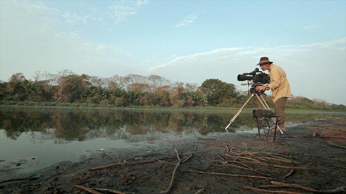 Les cycles du Pantanal