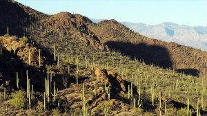 Les parcs nationaux américains