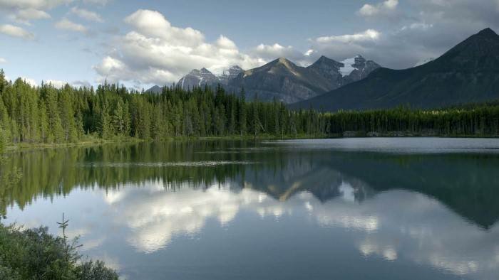 Les parcs nationaux canadiens