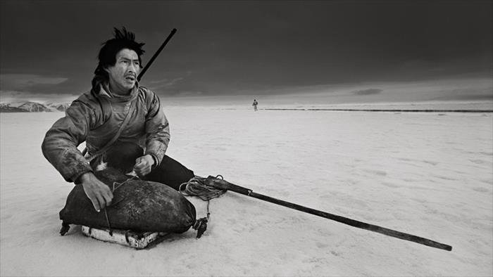 Les visages de l'Arctique