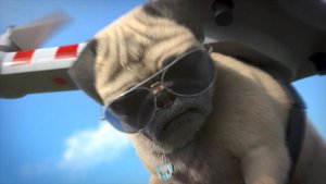 Mike, une vie de chien