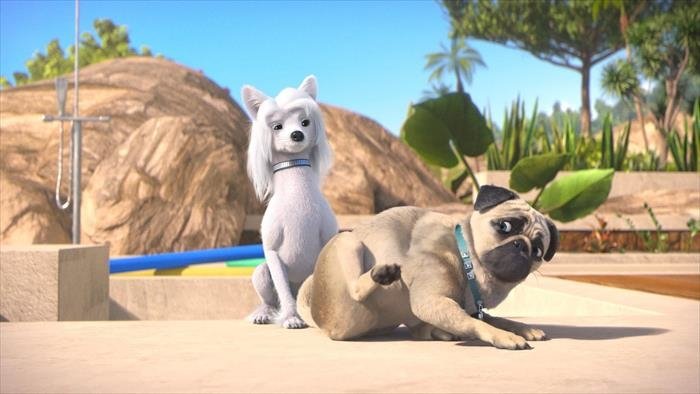 Mike, une vie de chien
