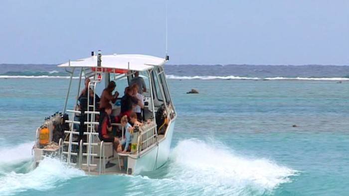 Moorea : l'île aux requins citron