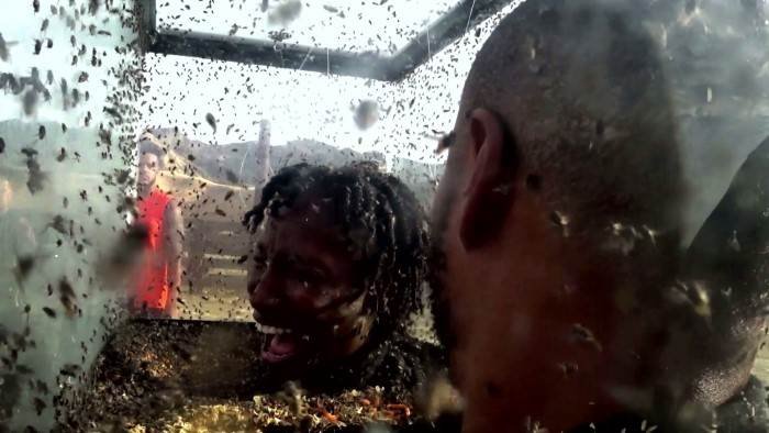 MTV Fear Factor