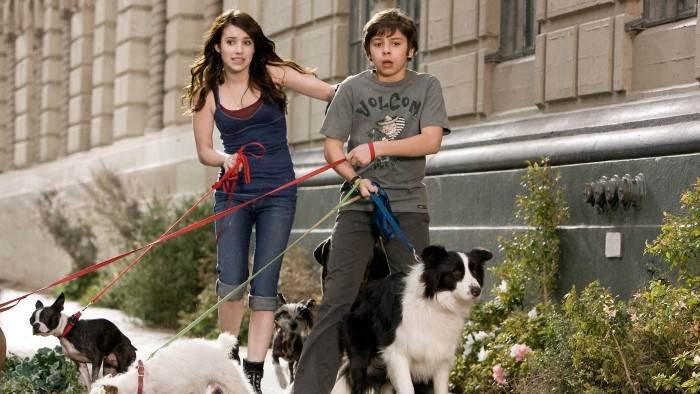 Palace pour chiens