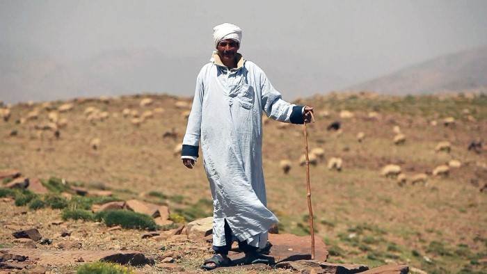 Pourquoi l'homme marche