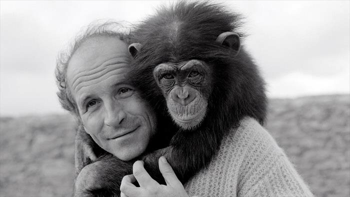 Quand l'amour m'était chanté