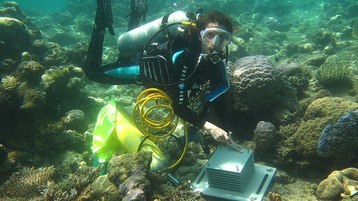 Quand les océans deviennent acides