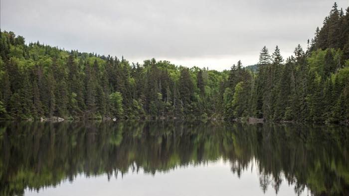 Québec à vol d'oiseau