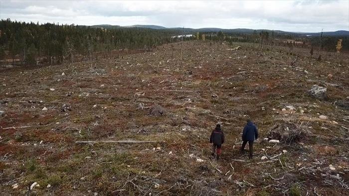 Sauvons nos forêts