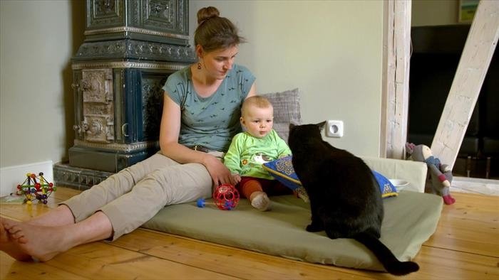 Secrets de chats
