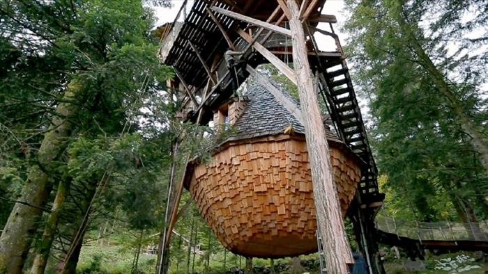 Sur un arbre perché