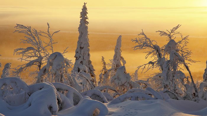 Terres de glace