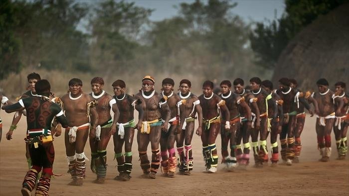 Une histoire amazonienne