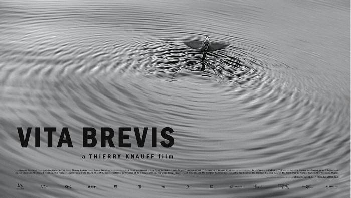 Vita Brevis