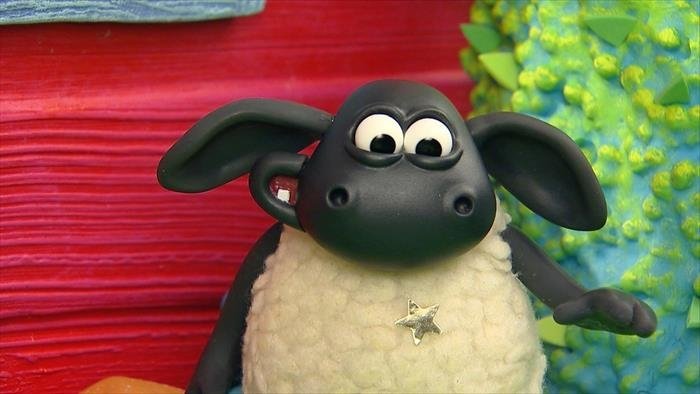 Voici Timmy