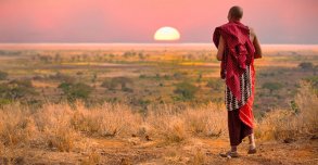 En pleine savane